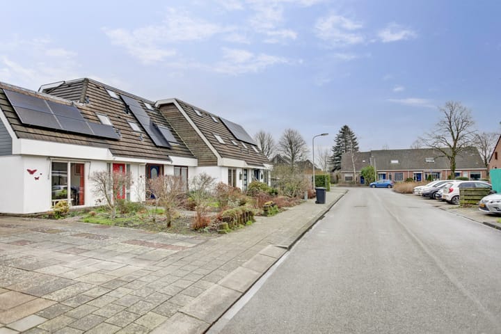 Foto 31 van Fûgelikkers 5