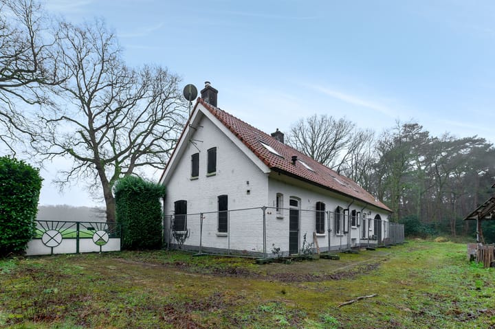 Foto 29 van Lange Steen 1