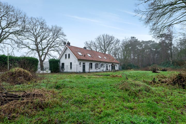 Foto 31 van Lange Steen 1