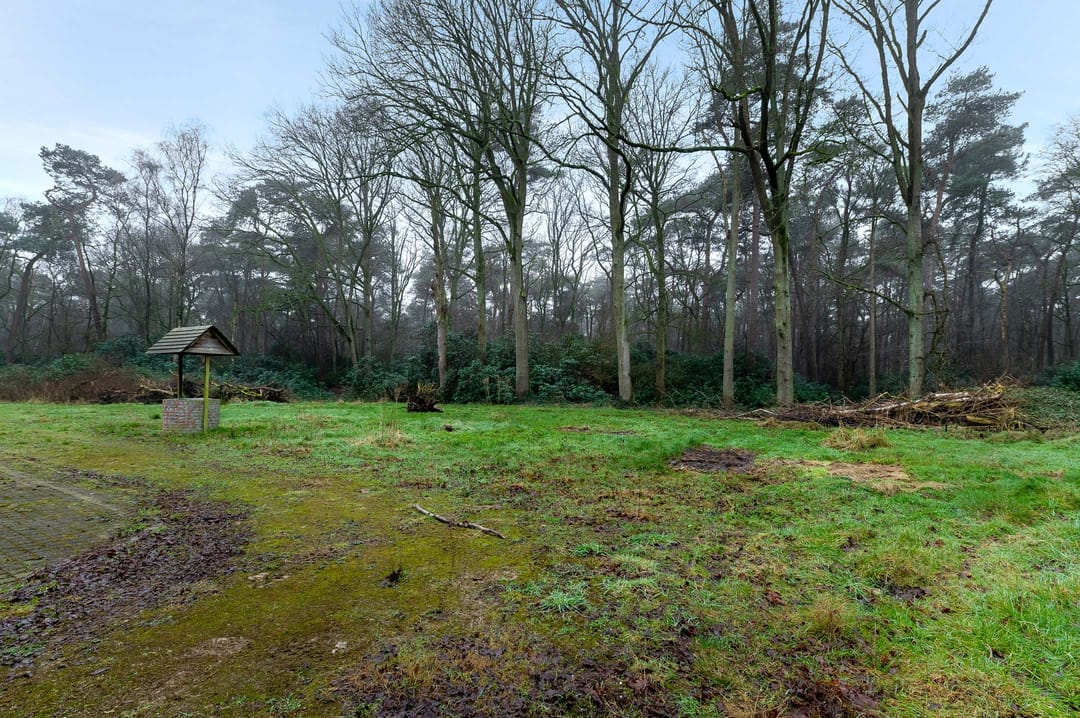 Foto 32 van Lange Steen 1