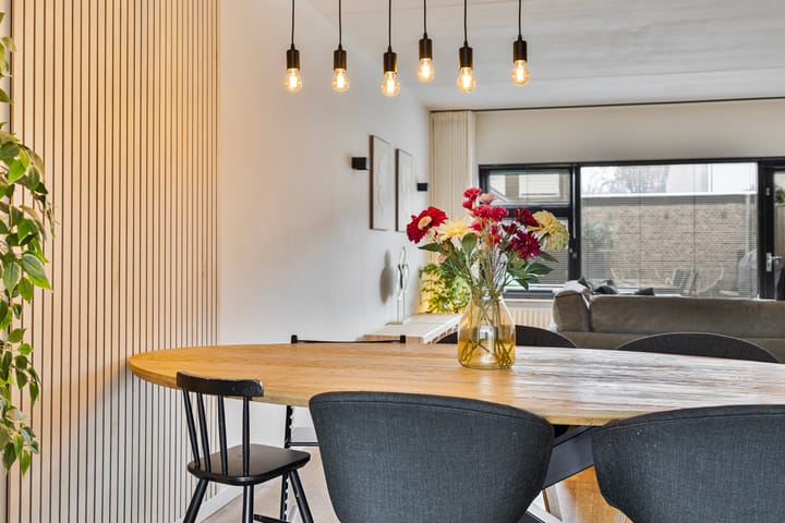 Foto 19 van Anna Paulownastraat 24