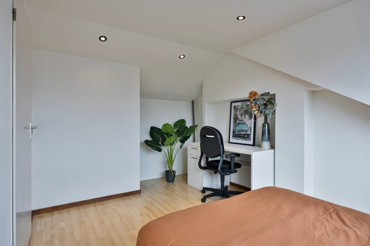 Foto 33 van Anna Paulownastraat 24