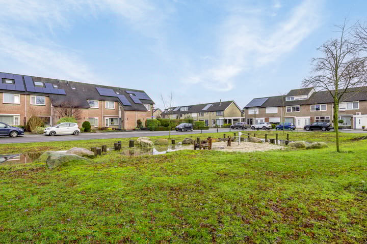 Foto 40 van Anna Paulownastraat 24