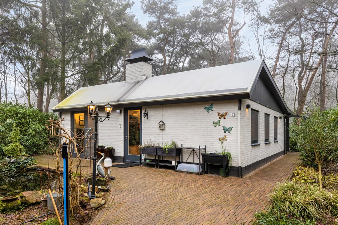 Foto 1 van Kievit 12-B194