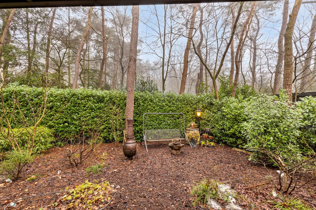 Foto 26 van Kievit 12-B194