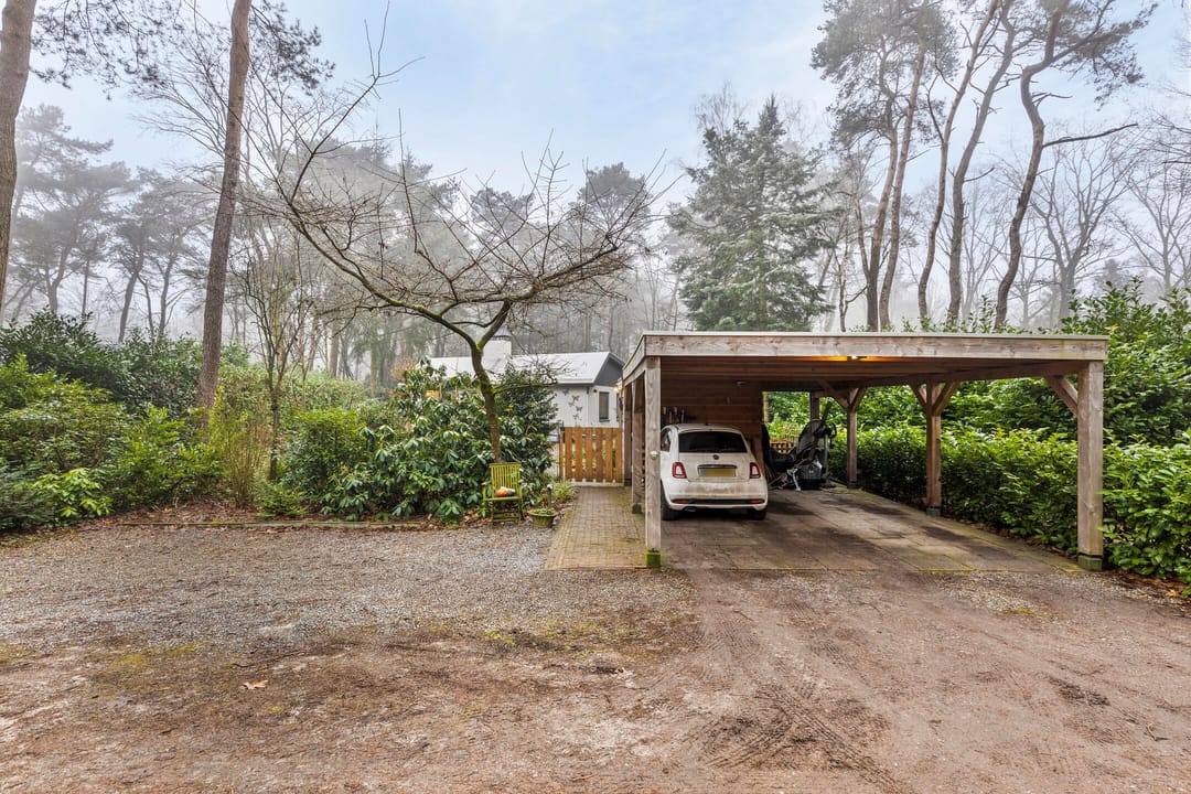 Foto 32 van Kievit 12-B194