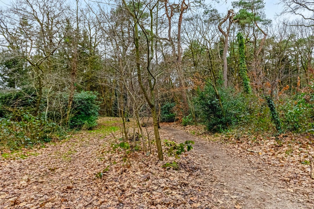 Photo 32 of Apollo 109