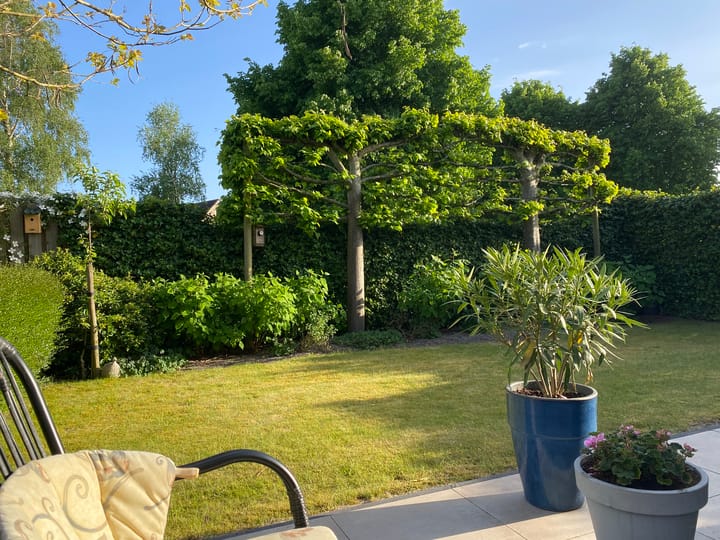 Foto 41 van Watersnip 32