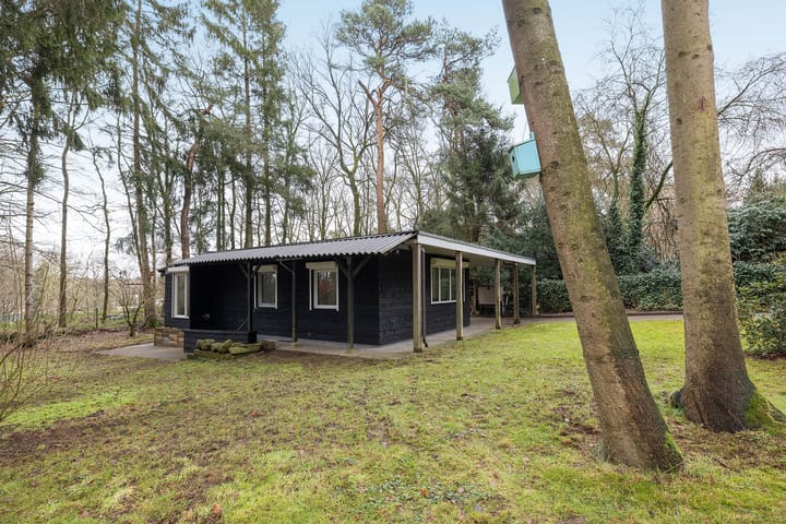 Photo 18 of Feriengebiet Am Waldbad 8