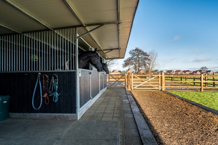 Foto 22 van Beukweg 3