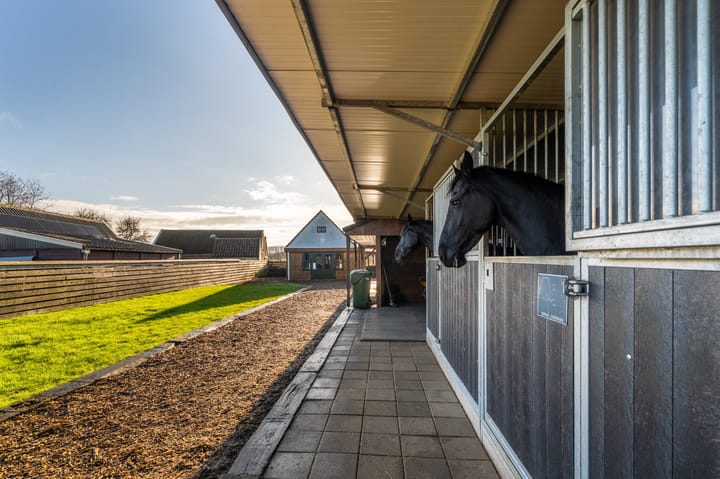 Foto 23 van Beukweg 3