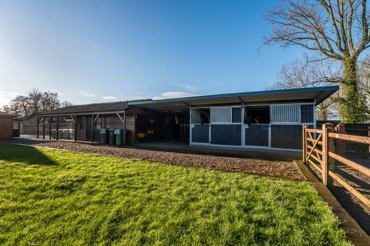 Foto 24 van Beukweg 3