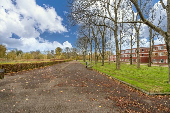 Foto 13 van Ede Staalstraat 10