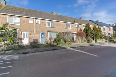 undefined main image