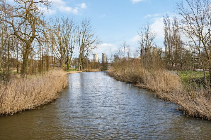 Foto 21 van Limburglaan 169