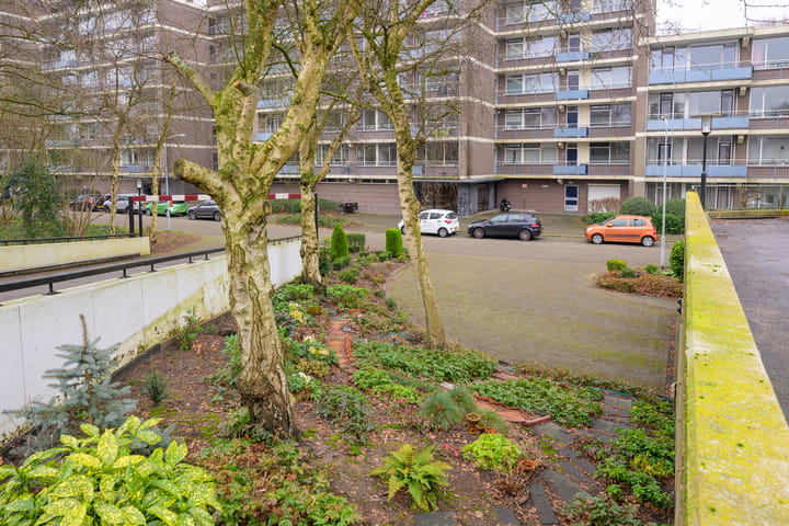 Foto 4 van Populierendreef 174