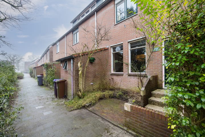 Foto 5 van Vesuvius 76