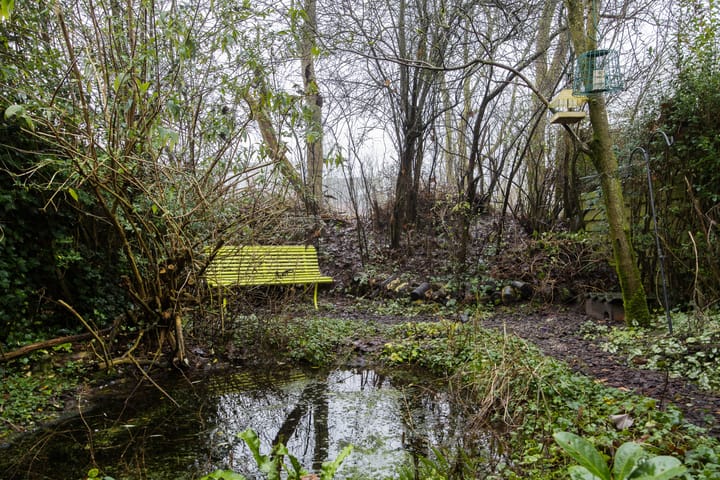 Foto 15 van Vesuvius 76