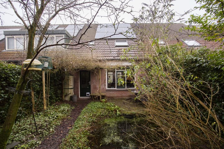 Foto 18 van Vesuvius 76