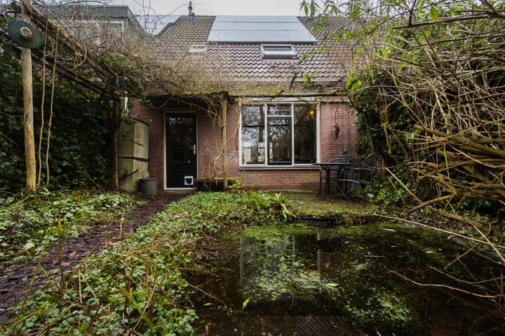 Foto 19 van Vesuvius 76