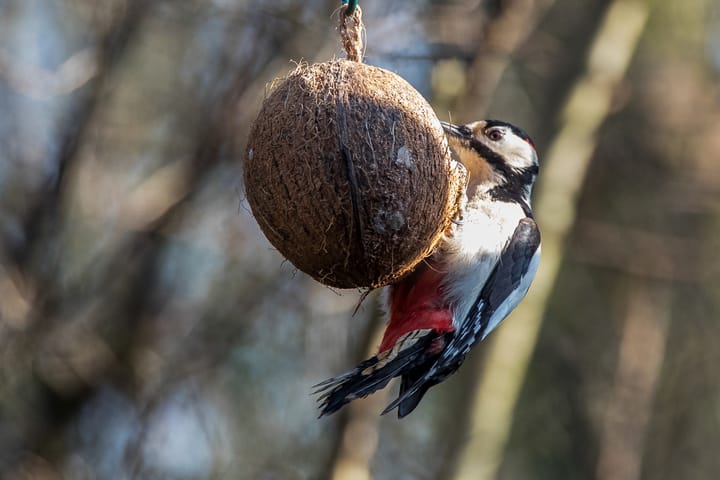 Foto 43 van Vesuvius 76