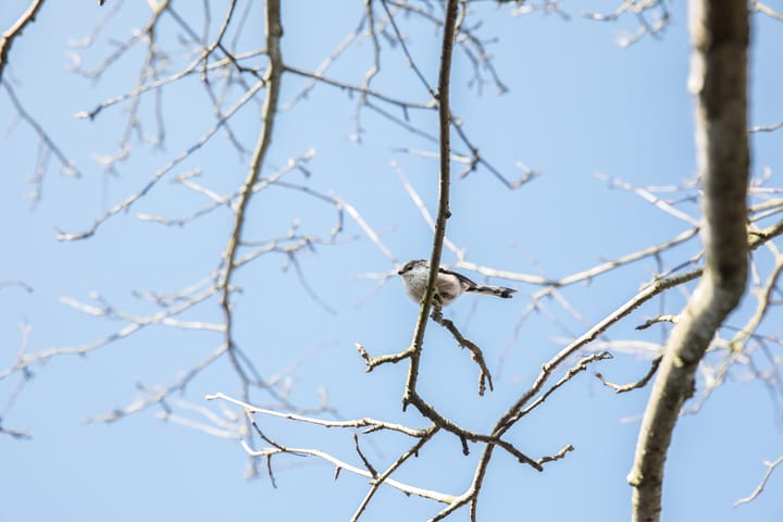 Foto 44 van Vesuvius 76