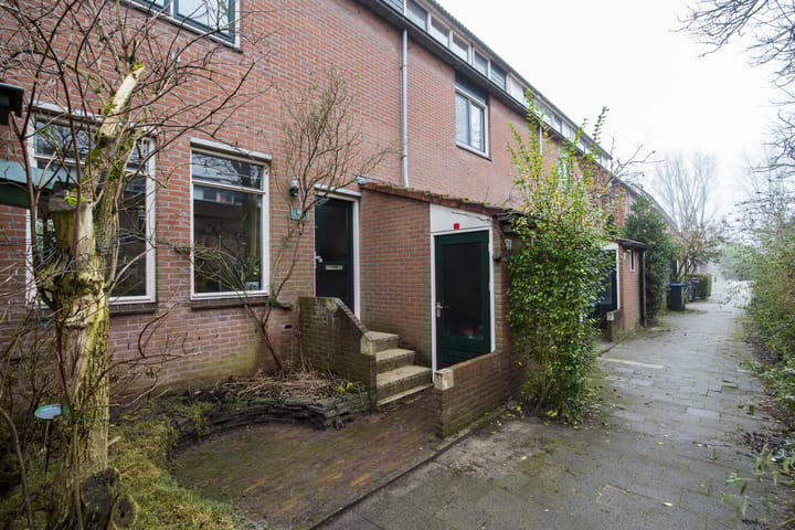 Foto 47 van Vesuvius 76