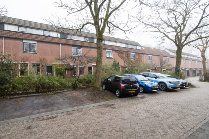 Foto 48 van Vesuvius 76