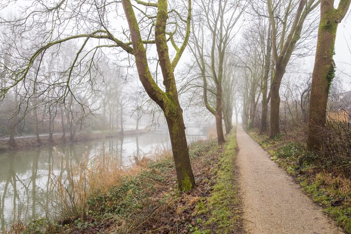 Foto 49 van Vesuvius 76