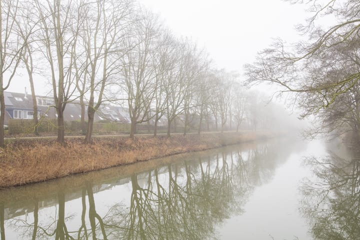 Foto 50 van Vesuvius 76