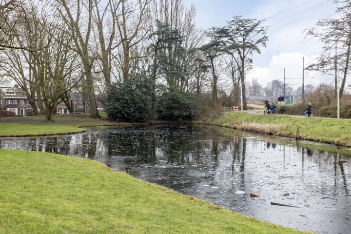 Foto 28 van Thorbeckelaan 11