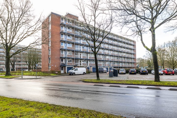 Foto 10 van Maria in Campislaan 145