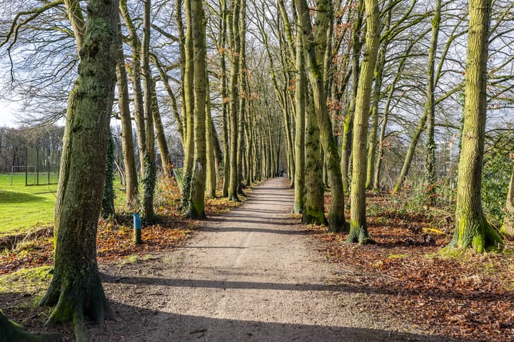 Foto 42 van Maria in Campislaan 145