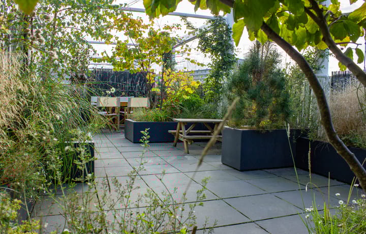 Foto 2 van Burgemeester Cramergracht 92