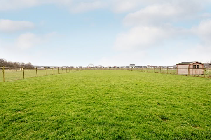 Foto 6 van Paradijsvogelweg 41