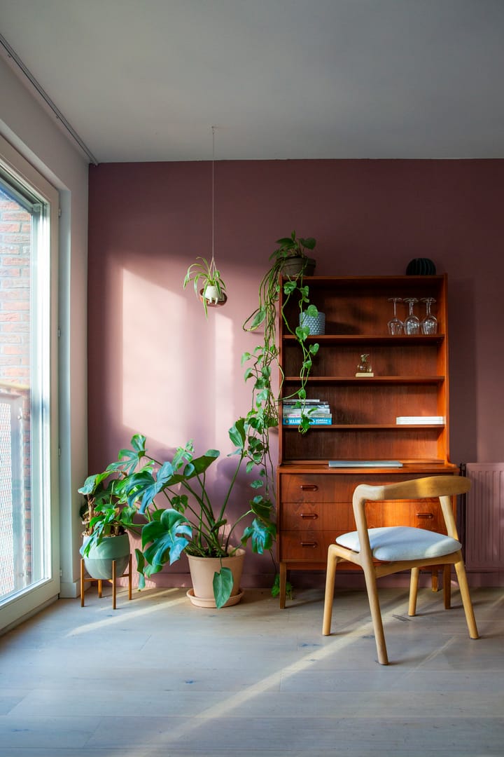 Foto 4 van Joos Banckersplantsoen 11