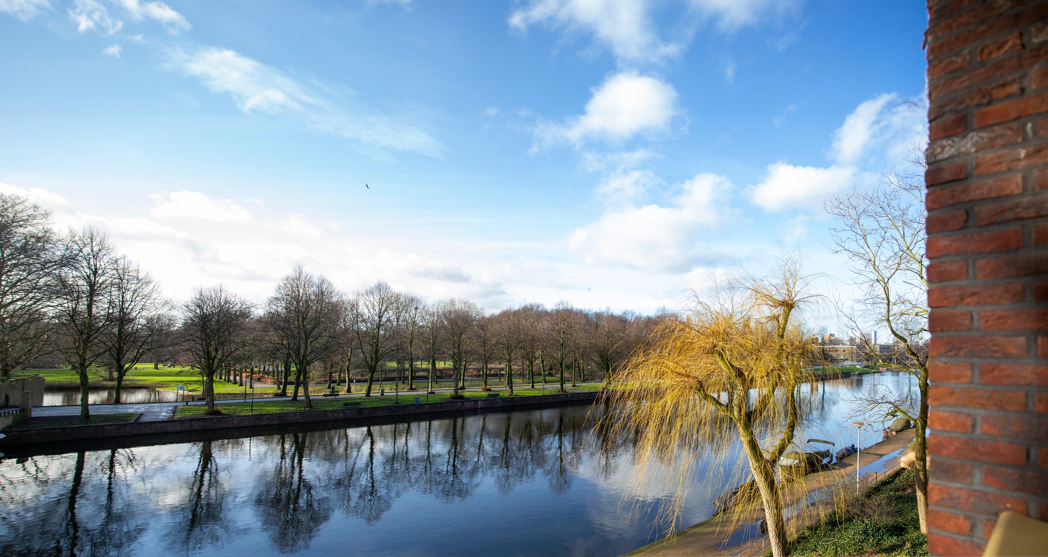 Photo 9 of Joos Banckersplantsoen 11