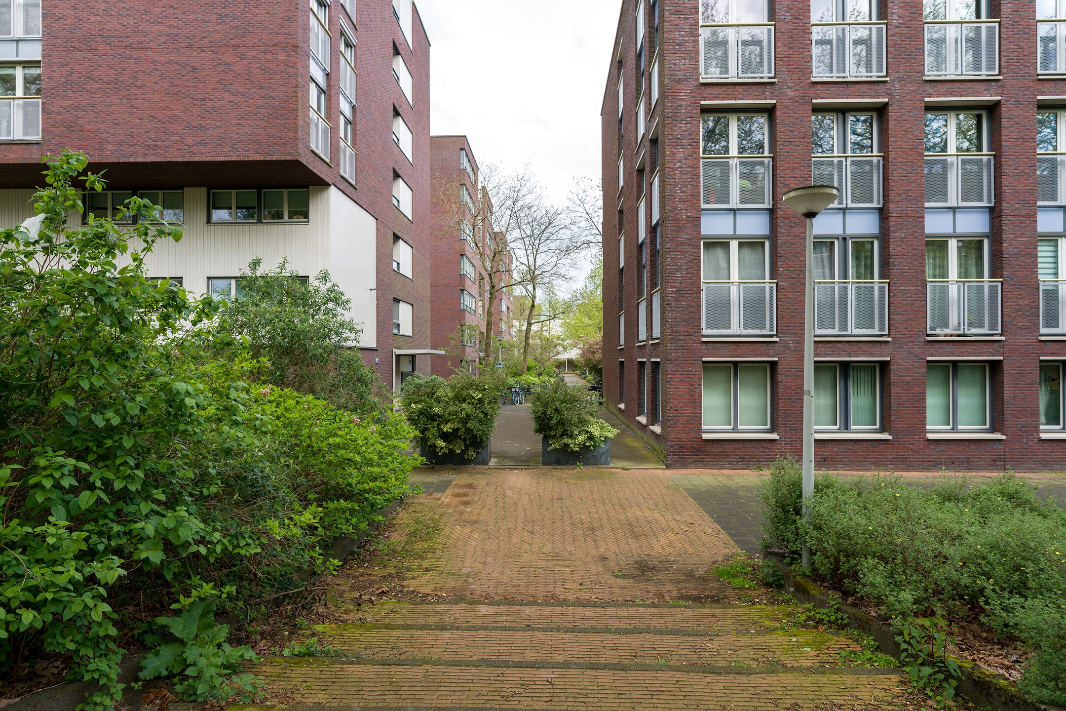 Photo 21 of Joos Banckersplantsoen 11