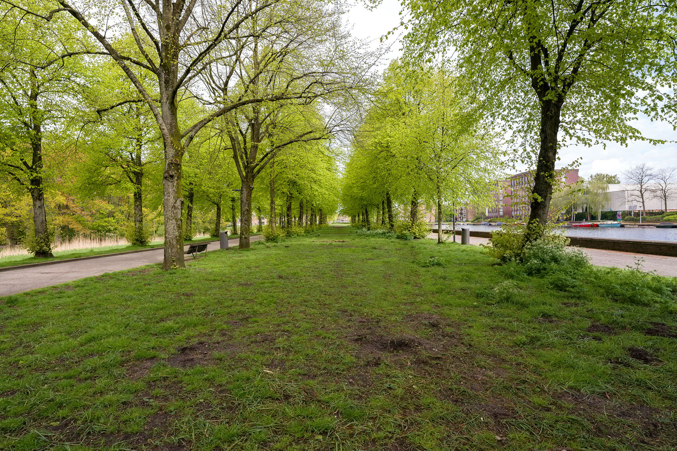 Photo 24 of Joos Banckersplantsoen 11