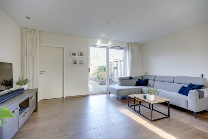 Foto 12 van Suikerpeer 34