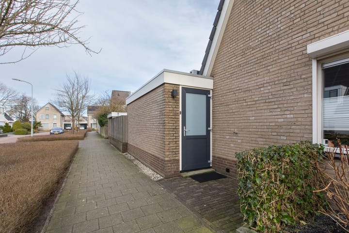 Foto 24 van Suikerpeer 34