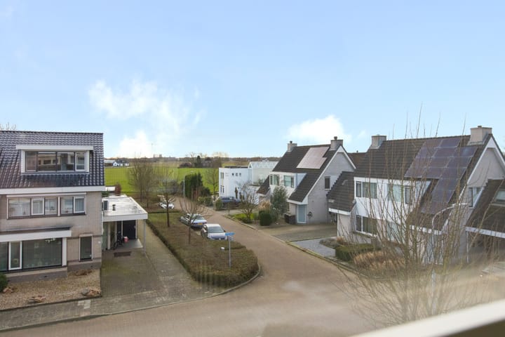 Foto 46 van Suikerpeer 34