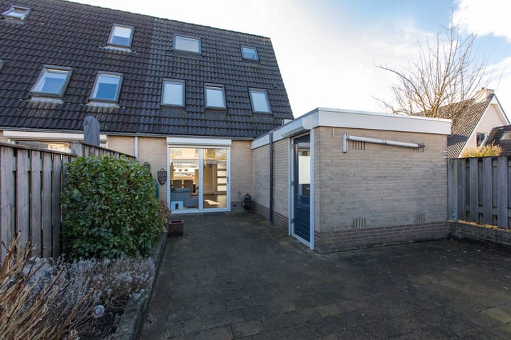 Foto 49 van Suikerpeer 34