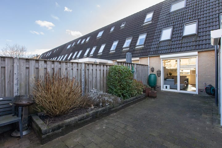 Foto 50 van Suikerpeer 34