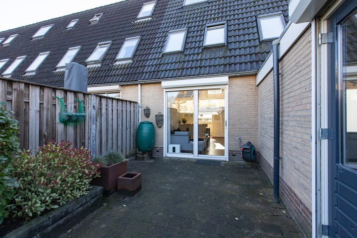 Foto 51 van Suikerpeer 34