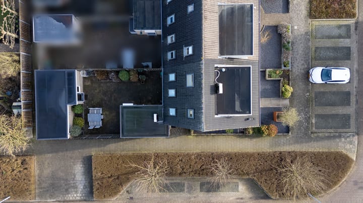 Foto 56 van Suikerpeer 34