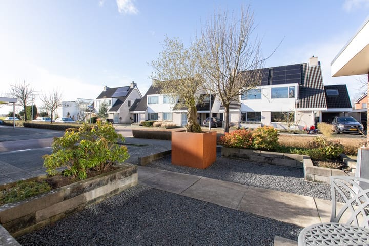 Foto 58 van Suikerpeer 34