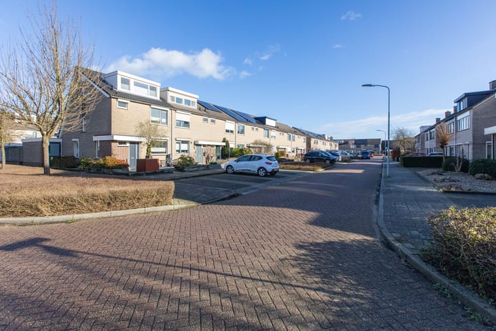 Foto 60 van Suikerpeer 34