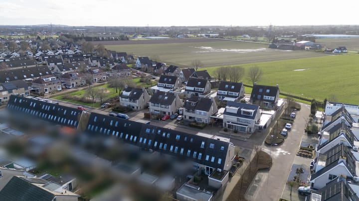 Foto 61 van Suikerpeer 34