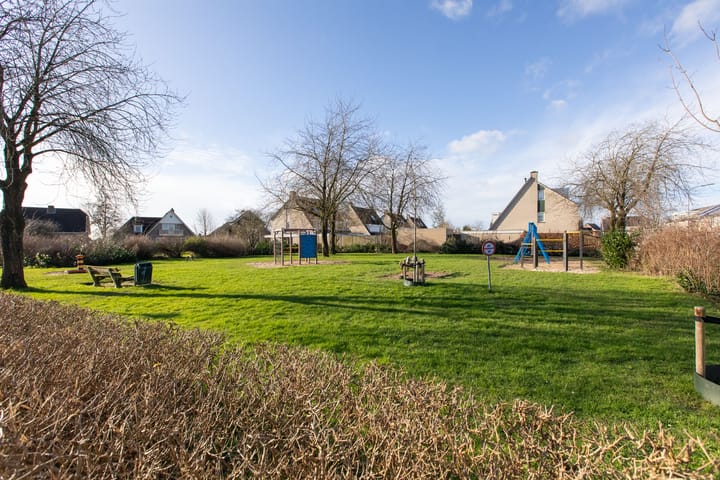 Foto 62 van Suikerpeer 34